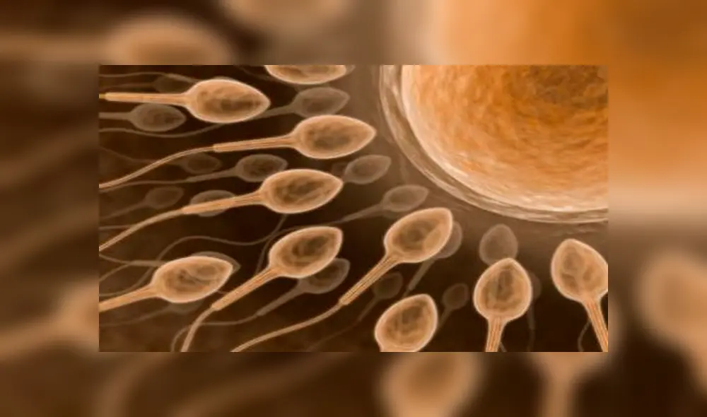 Los siete métodos más extraños usados en la antigüedad para evitar el embarazo [FOTOS]