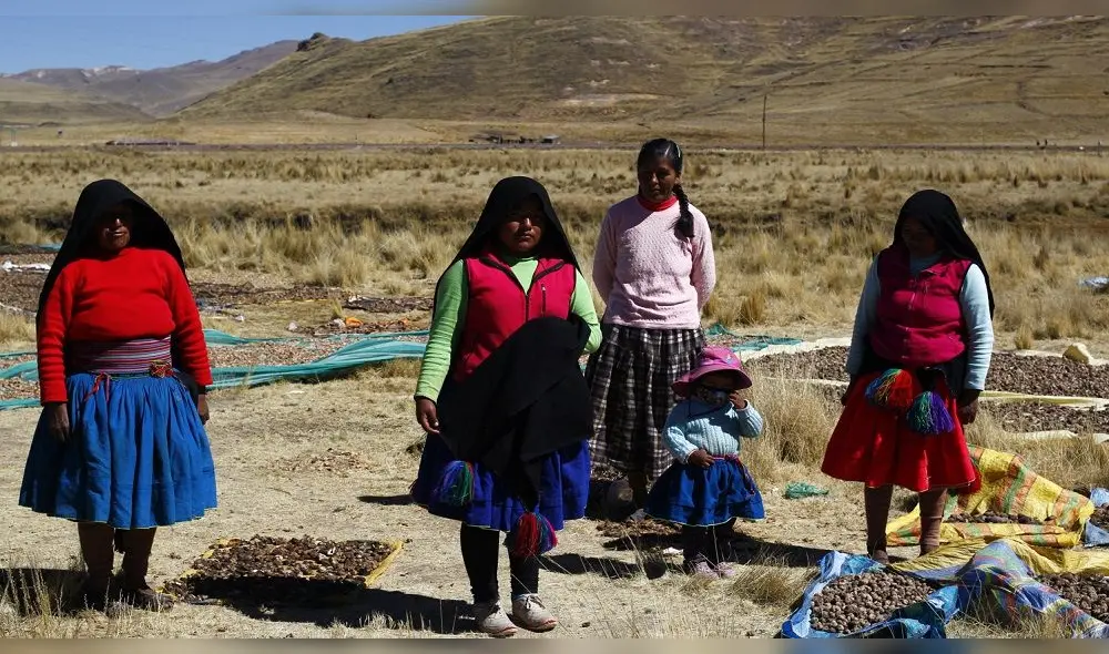 Quechuas y aymaras trabajan para producir el chuño y la tunta, en Puno. Foto: Carlos Cisneros.