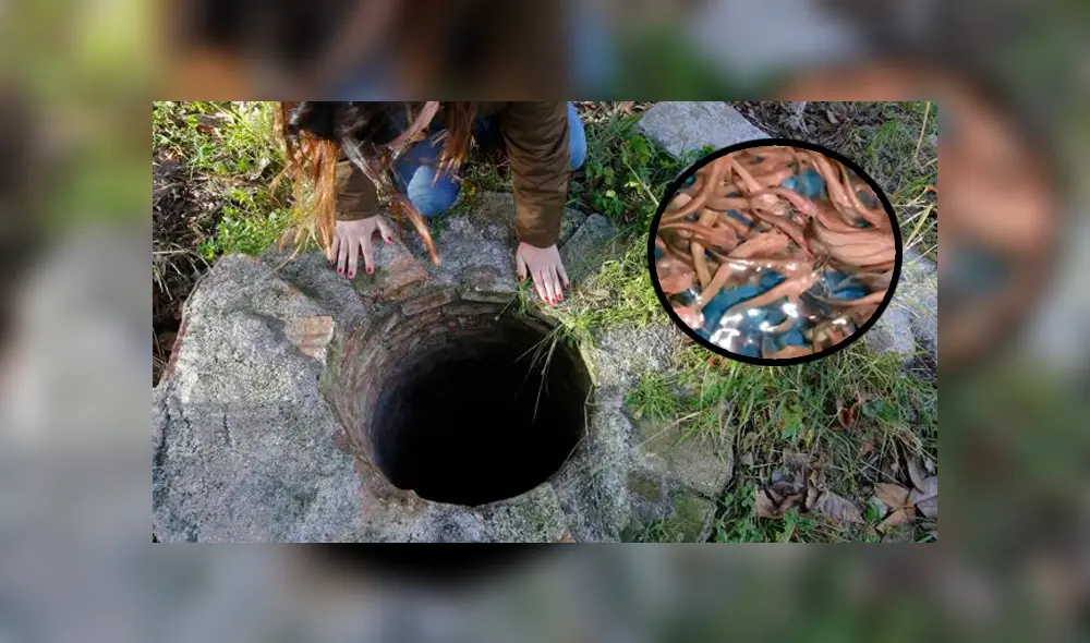 Un hombre quedó impactado a ver cientos de extrañas criaturas en un extraño pozo.