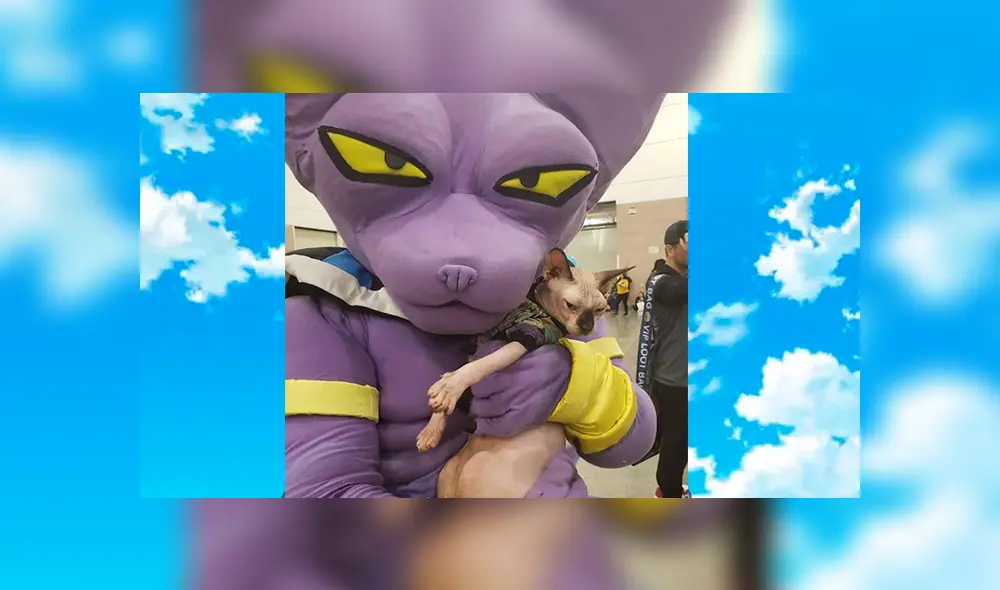 Dragon Ball Super: así reaccionó un 'gato egipcio' cuando tuvo encuentro con "Bills", el Dios de la Destrucción [FOTOS]