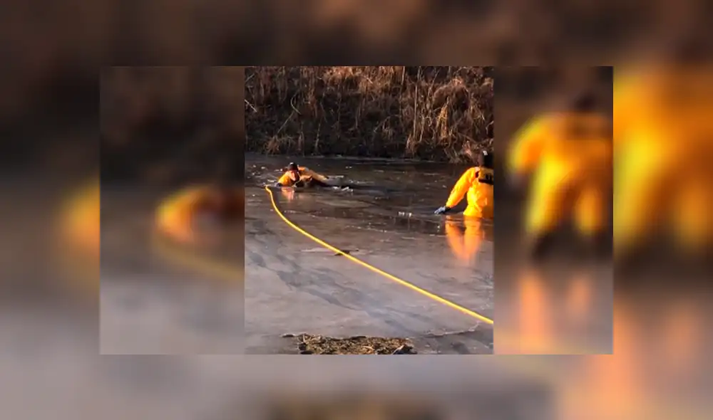 En Facebook, un grupo de bomberos ayudó a un indefenso perro que cayó a un lago congelado.