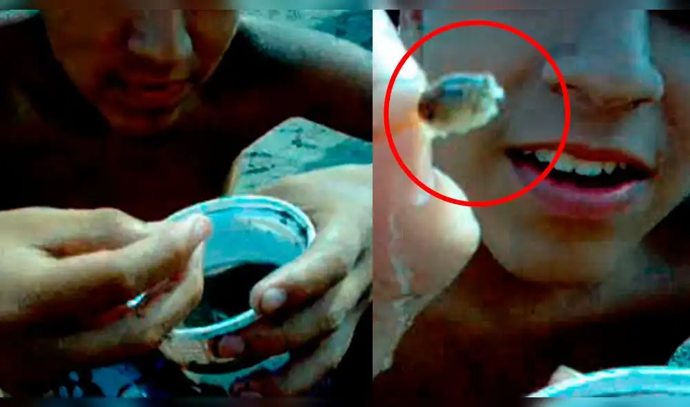 YouTube: Joven come 'muy muys' vivos y la cara que pone al masticarlos te dejará sin aliento 