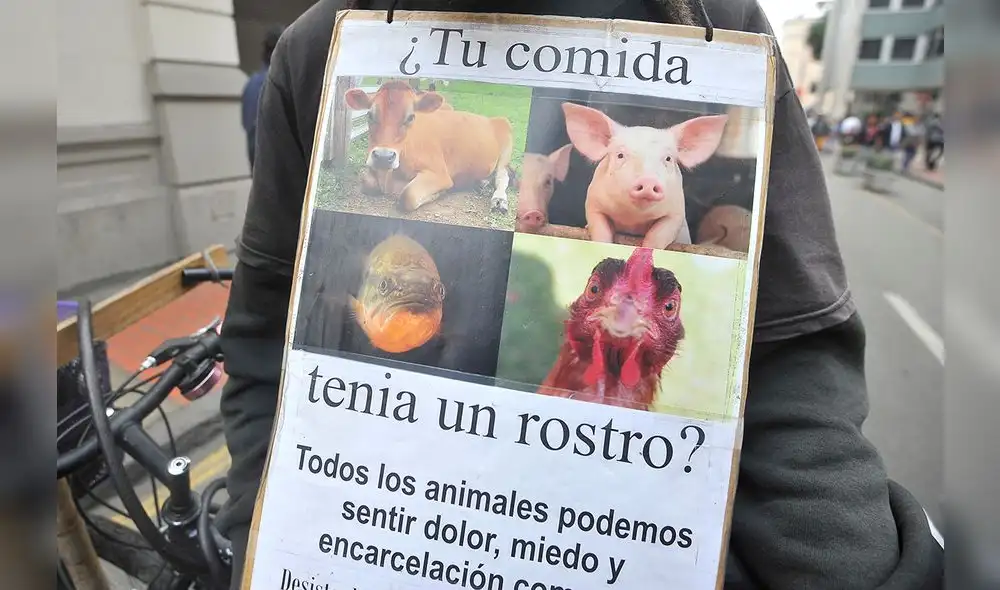 Grupo de animalistas busca concientizar sobre el maltrato animal [FOTOS]