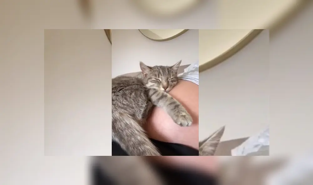 Desliza hacia la izquierda para ver más del video viral. Fotocaptura: Youtube Desliza hacia la izquierda para ver más del video viral. Fotocaptura: Youtube