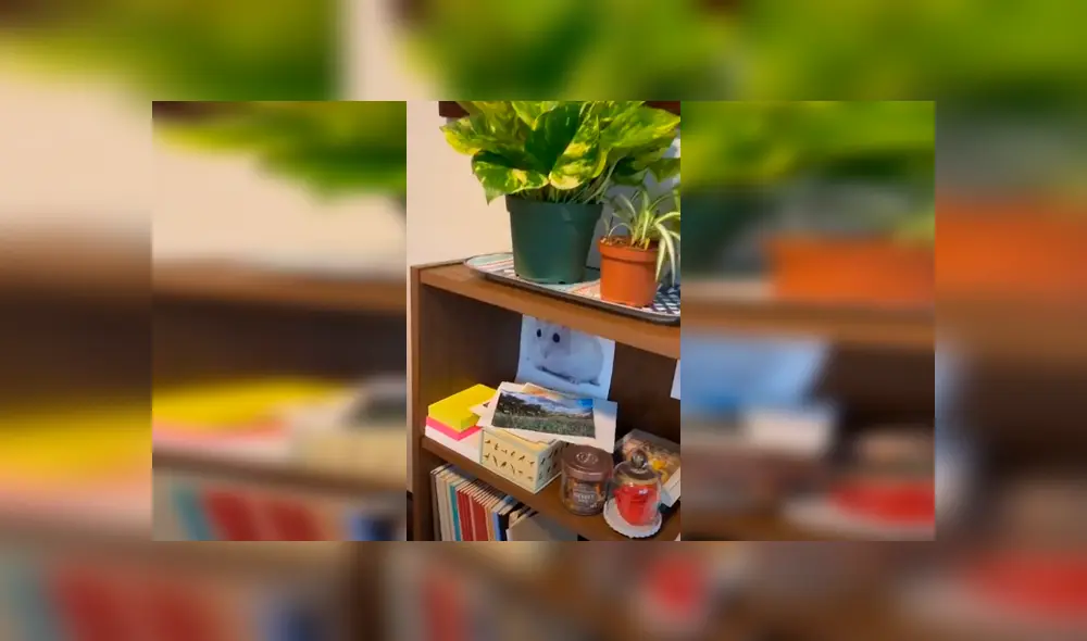 Desliza las imágenes para apreciar el pedido de una joven a su madre para adoptar a un hámster en casa. Fotocaptura: ViralHog. Desliza las imágenes para apreciar el pedido de una joven a su madre para adoptar a un hámster en casa. Fotocaptura: ViralHog.