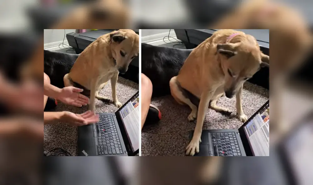 Desliza hacia la izquierda para ver las imágenes del viral de YouTube. Foto: Captura.