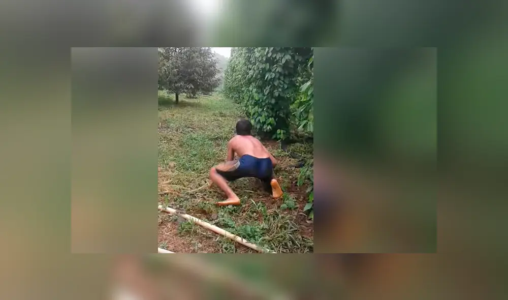 Vía YouTube. Hombre se enfrasco en un impactante enfrentamiento con la enorme serpiente mientras que esta intentaba atacarlo