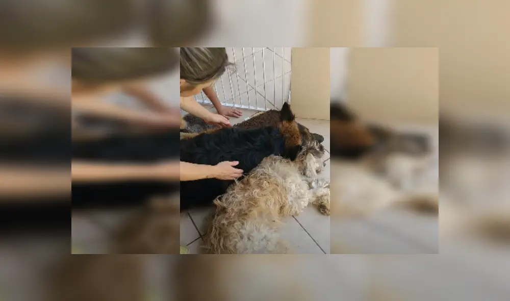 Desliza las imágenes para ver más detalles de esta dramática escena que se hizo viral en YouTube. (Foto: captura) Desliza las imágenes para ver más detalles de esta dramática escena que se hizo viral en YouTube. (Foto: captura)