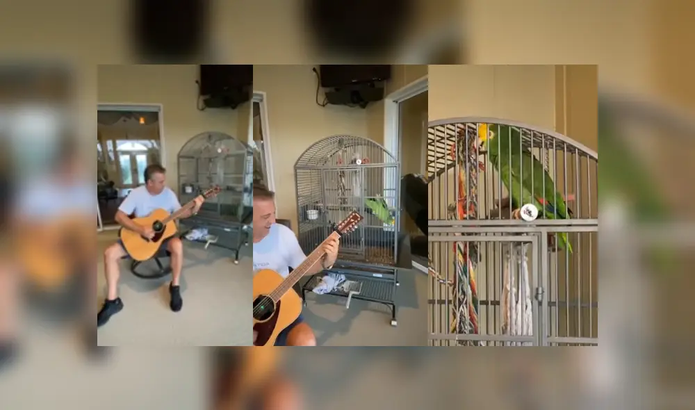 Desliza para ver los detalles del video viral publicado en YouTube. Foto: Captura.