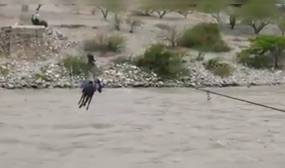 Facebook Viral: Arriesgado traslado de burro por el Río Marañon indigna a miles [VIDEO]
