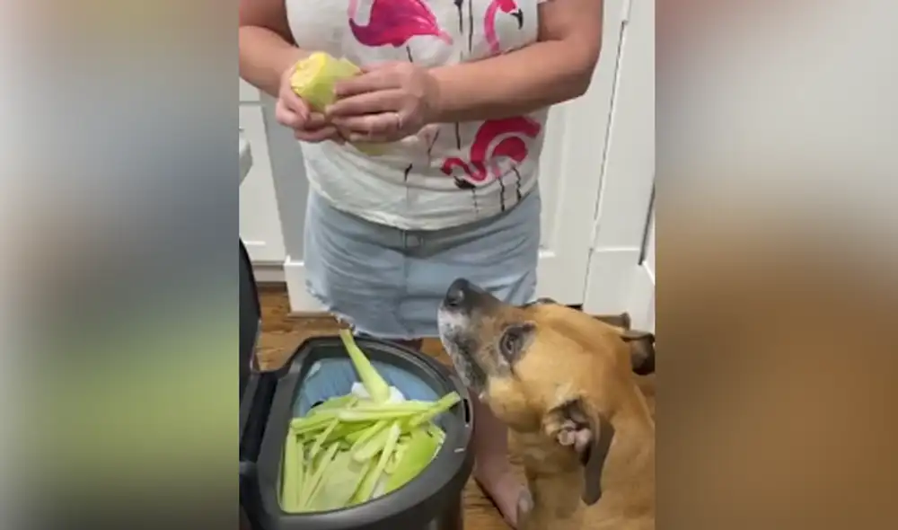 Desliza hacia la izquierda para ver las imágenes del video viral. Foto: captura de YouTube.
