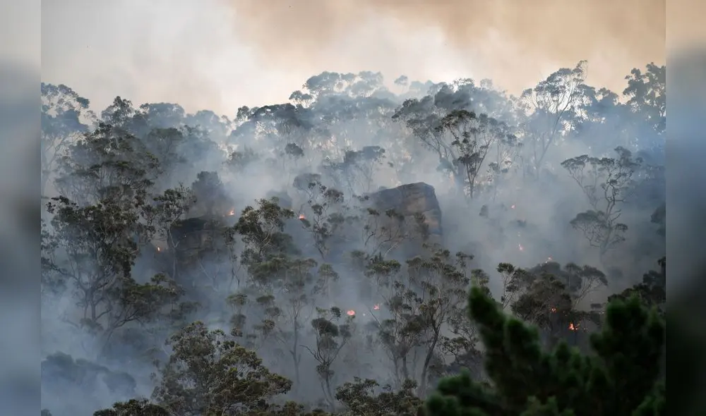 Smoke and flames from a back burn, conducted to secure residential areas from encroaching bushfires, are seen at the Spencer area in Central Coast, some 90-110 kilometres north of Sydney on December 9, 2019. - Australia is experiencing a horrific start to its fire season, which scientists say began earlier and is more extreme this year due to a prolonged drought and the effects of climate change. (Photo by SAEED KHAN / AFP)