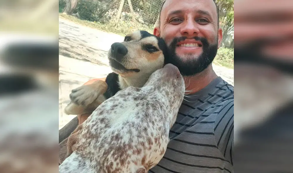 Desliza las imágenes para conocer la historia de un cartero quien ayuda a perros y gatos que viven en la calle. Foto: Instagram