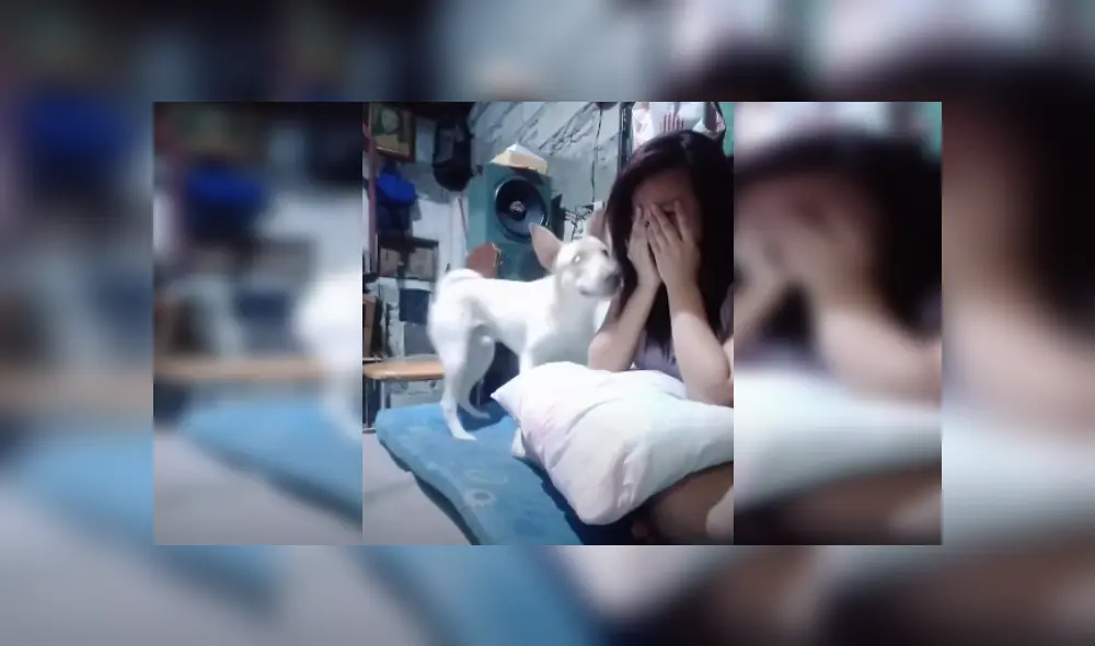 Desliza las imágenes para ver más detalles de esta emotiva escena que es viral en YouTube. Desliza las imágenes para ver más detalles de esta emotiva escena que es viral en YouTube.