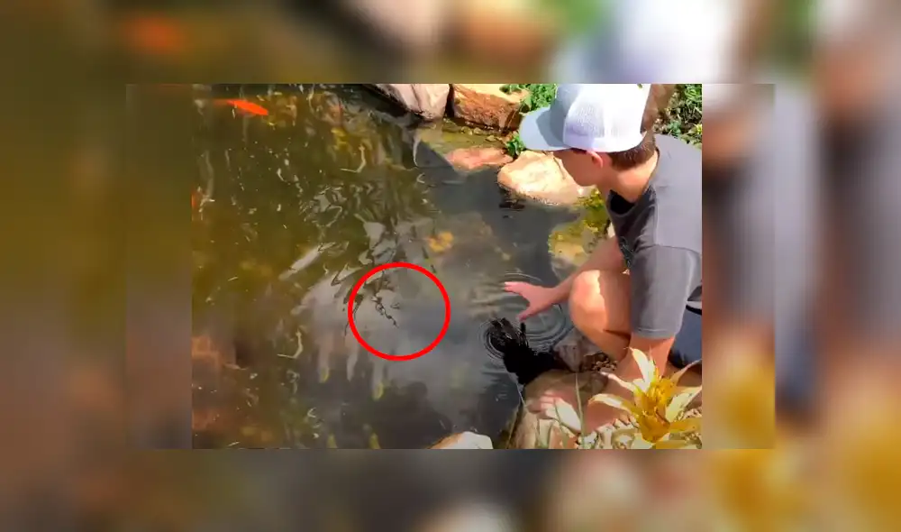 El protagonista del video viral de Facebook atrapó a una letal criatura. El protagonista del video viral de Facebook atrapó a una letal criatura.