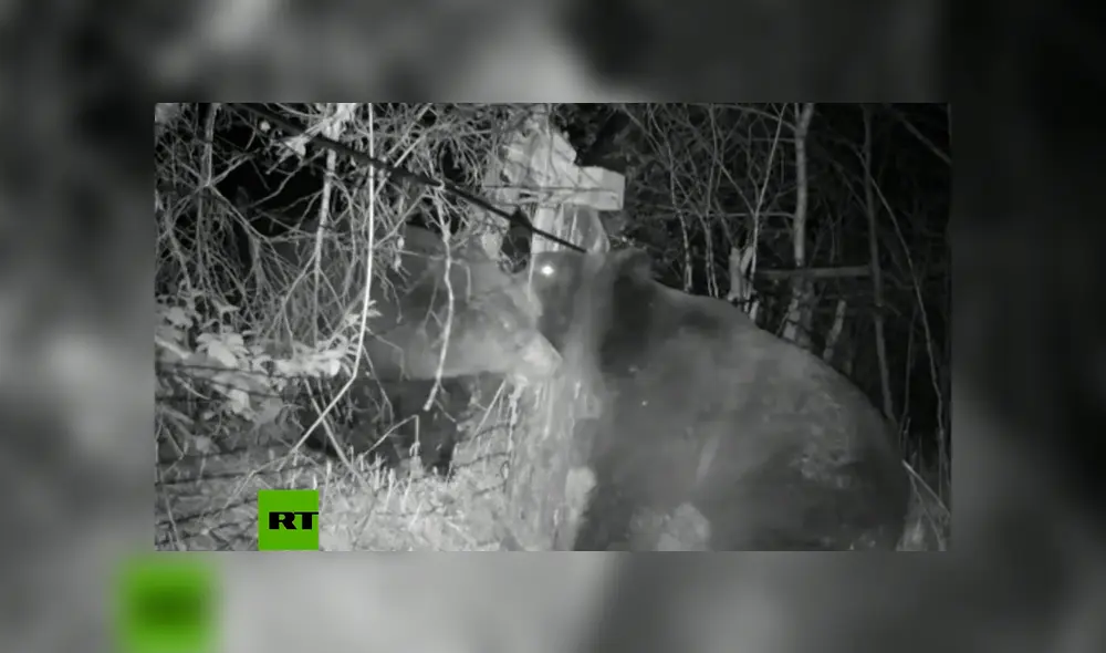 Mira la secuencia de la pelea deslizando la imagen. Foto: RT/YouTube Mira la secuencia de la pelea deslizando la imagen. Foto: RT/YouTube