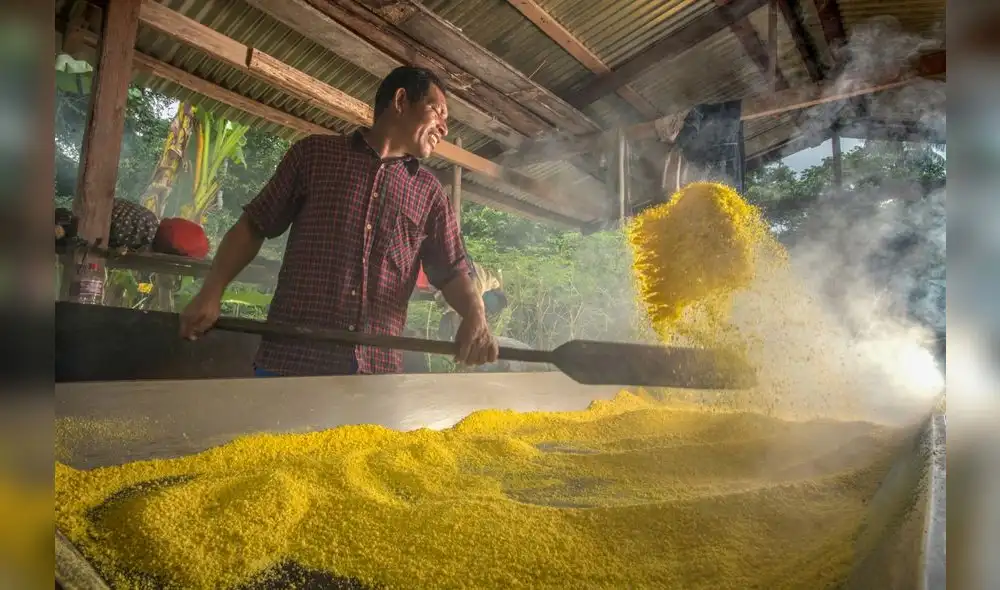 Expo Amazónica: Fariña será lanzada al mercado nacional por la comunidad Ticuna