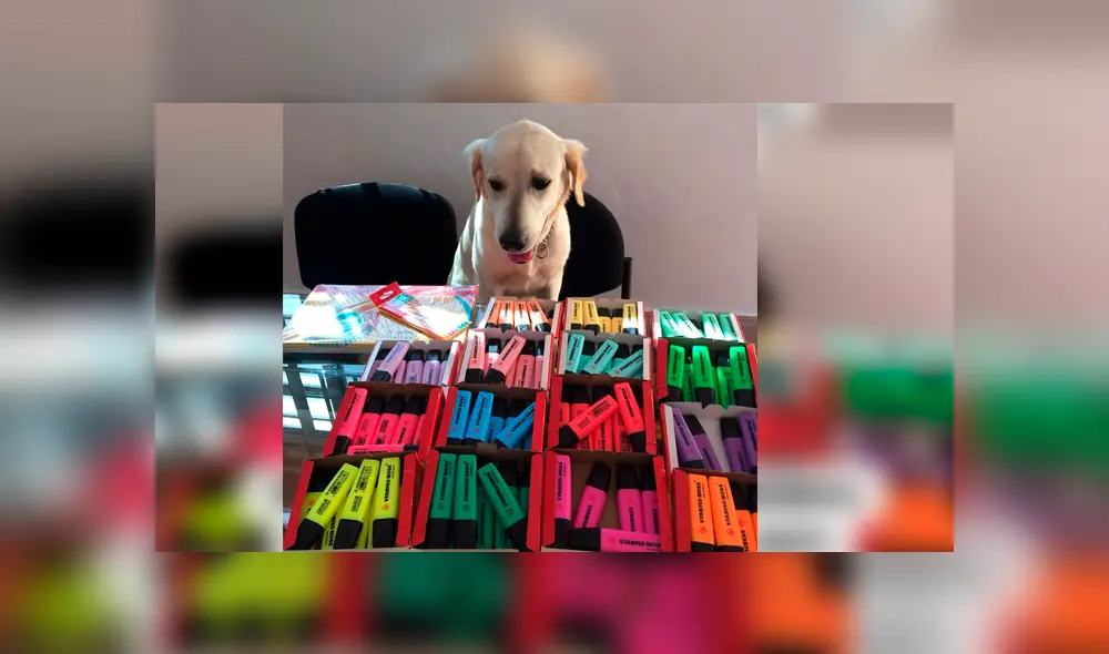 El can tiene una página de Facebook en la que vende plumones de colores para recaudar fondos y poder pagar su tratamiento El can tiene una página de Facebook en la que vende plumones de colores para recaudar fondos y poder pagar su tratamiento