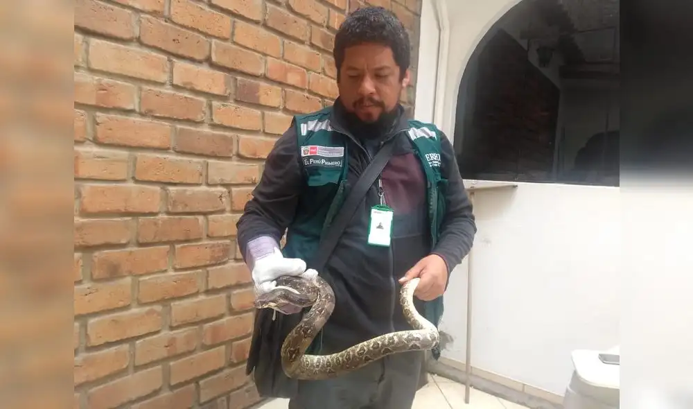 Decomisan a traficantes recursos forestales y de fauna silvestre