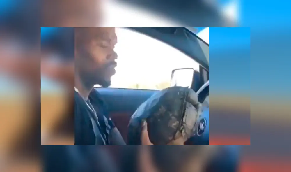 El hombre fue el único conductor que se percató del indefenso animal y corrió para auxiliarlo. La conmovedora escena se ha hecho viral en YouTube El hombre fue el único conductor que se percató del indefenso animal y corrió para auxiliarlo. La conmovedora escena se ha hecho viral en YouTube