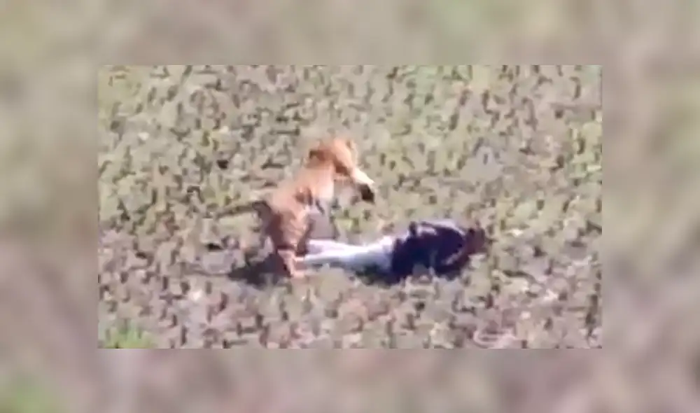 Desliza para ver los momentos más aterradores del video que se hizo viral en Facebook. Desliza para ver los momentos más aterradores del video que se hizo viral en Facebook.