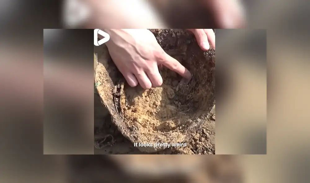 A través de Facebook se hizo viral el insólito descubrimiento que hizo un joven. A través de Facebook se hizo viral el insólito descubrimiento que hizo un joven.