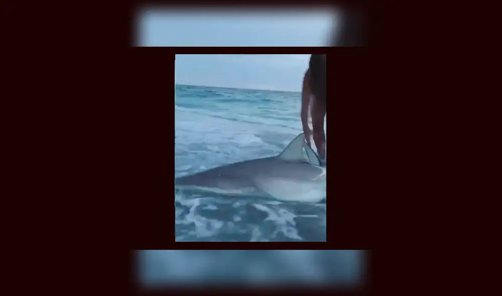 Facebook: mujer se encuentra con bestia marina y su acción se vuelve furor en redes sociales [VIDEO]