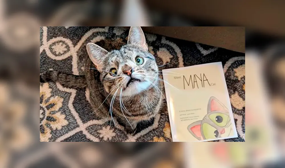 Maya es toda una celebridad en Instagram.