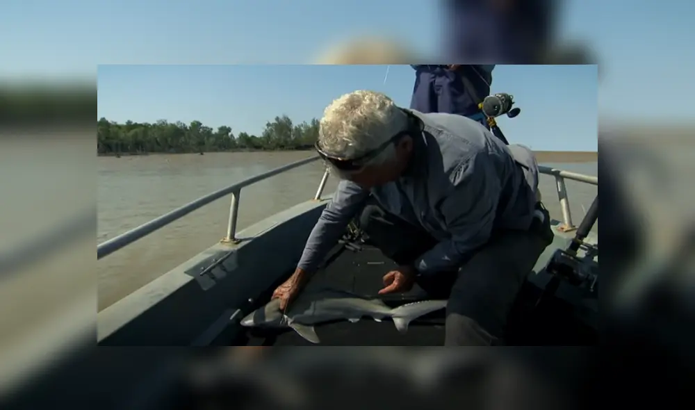 Desliza hacia la izquierda para ver las imágenes del viral de YouTube.