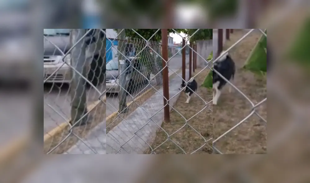 Desliza hacia la izquierda para ver más del video viral