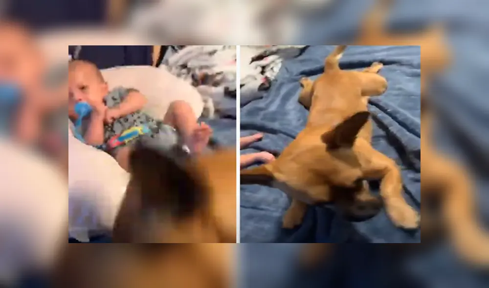 Desliza hacia la izquierda para ver las imágenes del viral de Facebook. Foto: Captura. Desliza hacia la izquierda para ver las imágenes del viral de Facebook. Foto: Captura.