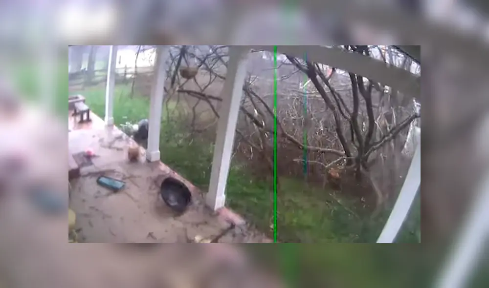 Desliza hacia la izquierda para ver el fenómeno natural que se volvió viral en YouTube.