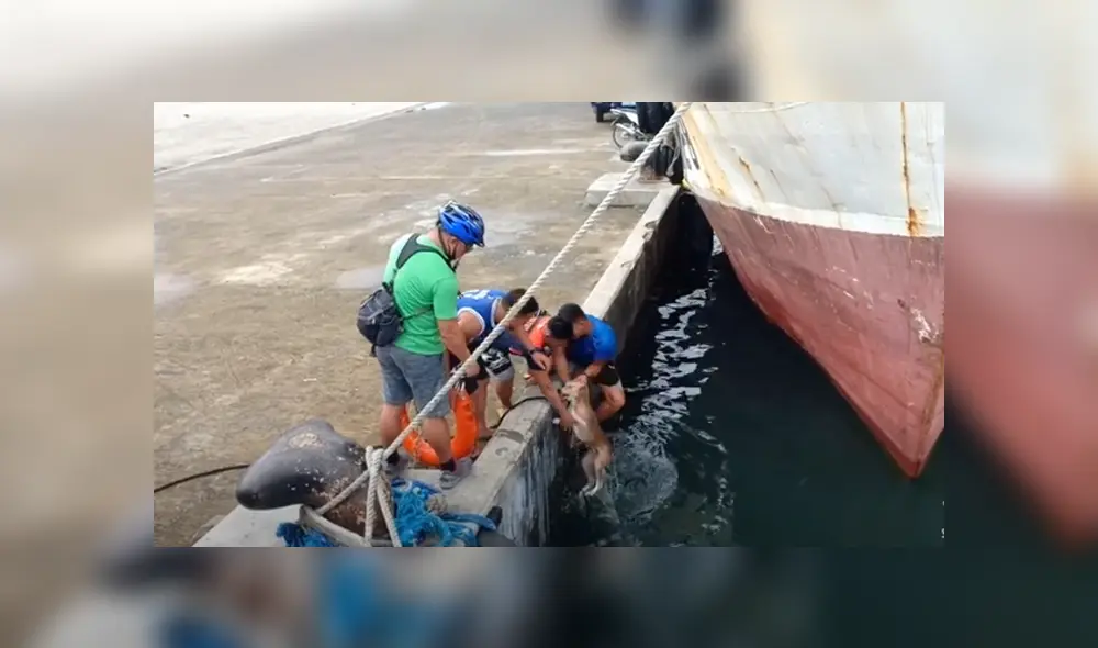 Desliza hacia la izquierda para ver las imágenes del viral de YouTube. Foto: Captura. Desliza hacia la izquierda para ver las imágenes del viral de YouTube. Foto: Captura.
