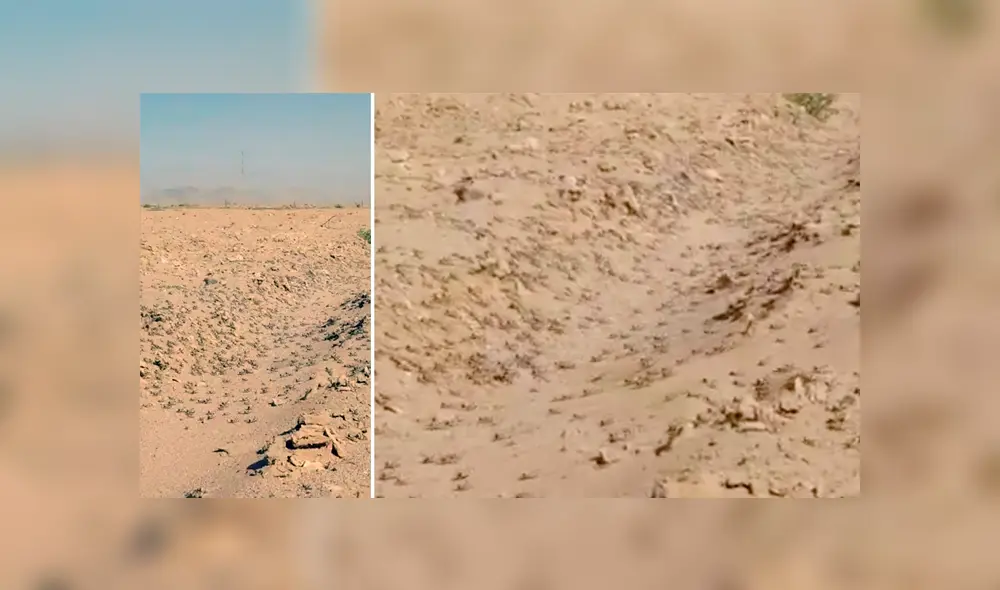 Desliza para ver los detalles del video viral de YouTube. Foto: Captura.