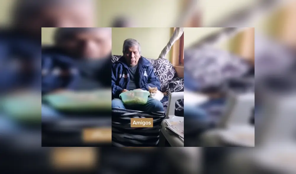 Desliza las imágenes hacia la izquierda para conocer la amorosa amistad de un señor con un pequeño gato. Foto: Captura. Desliza las imágenes hacia la izquierda para conocer la amorosa amistad de un señor con un pequeño gato. Foto: Captura.