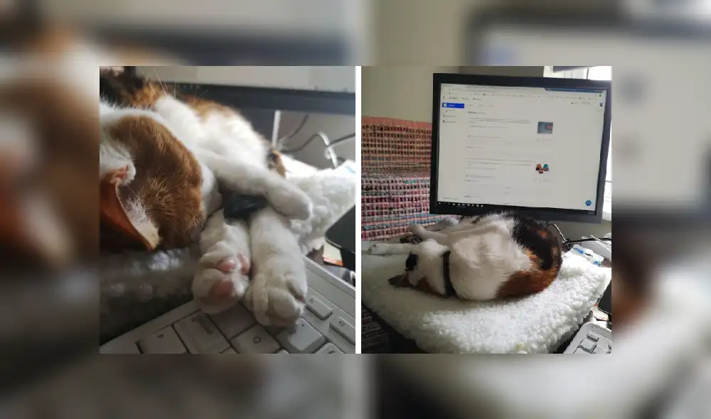 Desliza hacia la izquierda para ver más imágenes de esta escena que se hizo viral en Facebook. Desliza hacia la izquierda para ver más imágenes de esta escena que se hizo viral en Facebook.