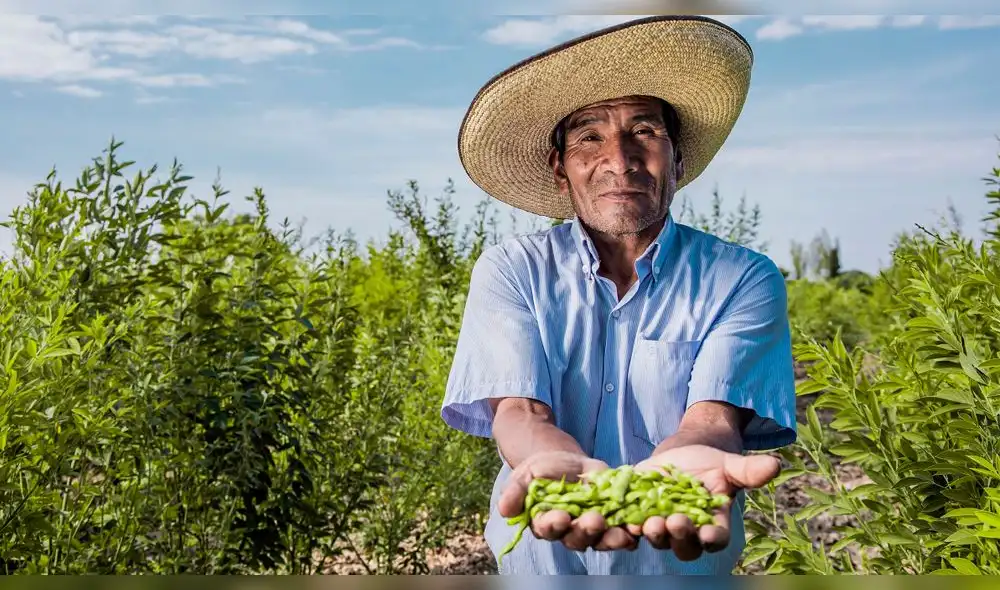 coronavirus coronavirus