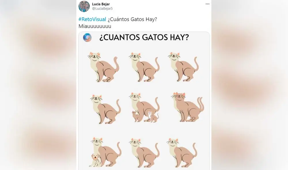 Desliza las imágenes para ver la solución de este reto visual que ha causado todo tipo de reacciones en redes sociales. Foto: captura de Twitter/ Lucía Bejar