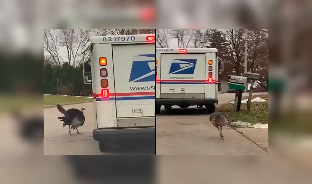 Desliza para ver los momentos más divertidos del video que se hizo viral en Facebook.