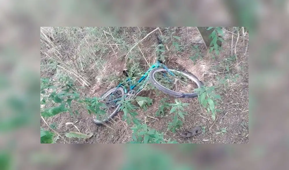 Partes de cuerpo decapitado