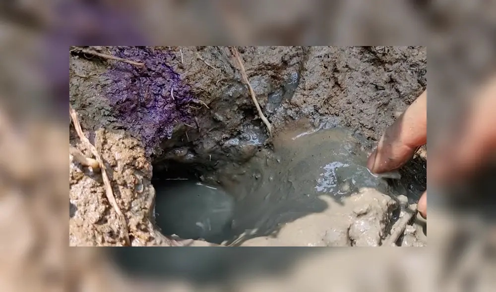 YouTube viral. Letal criatura aparece en misterioso hoyo de barro.