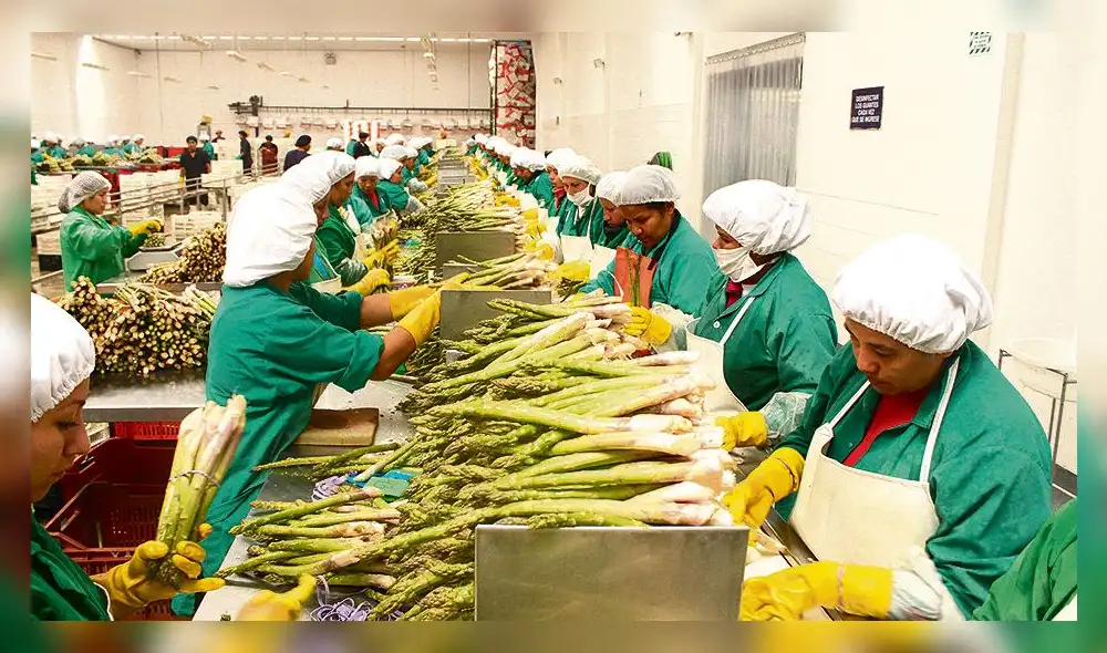 Regiones del sur deben unirse para mejorar sus condiciones competitivas Regiones del sur deben unirse para mejorar sus condiciones competitivas