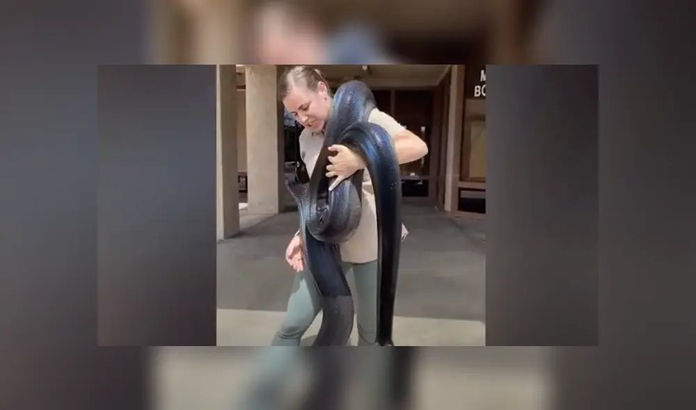 Desliza hacia la izquierda para ver las imágenes del viral de Facebook. Foto: Captura. Desliza hacia la izquierda para ver las imágenes del viral de Facebook. Foto: Captura.