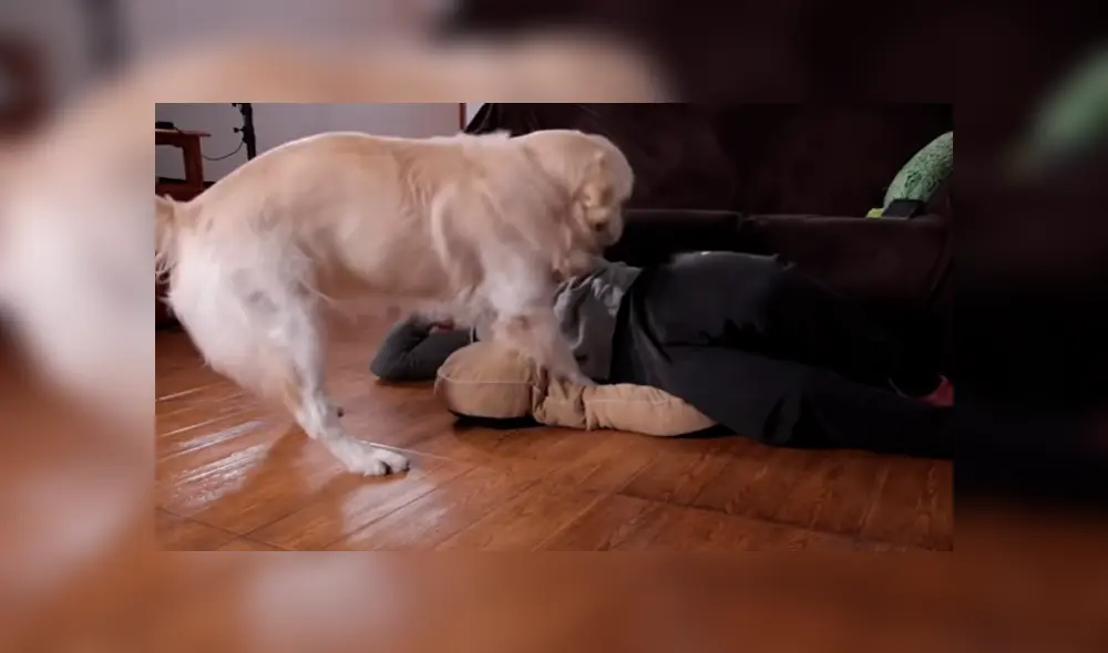 Desliza para ver los momentos más divertidos del video que se hizo viral en YouTube. Desliza para ver los momentos más divertidos del video que se hizo viral en YouTube.