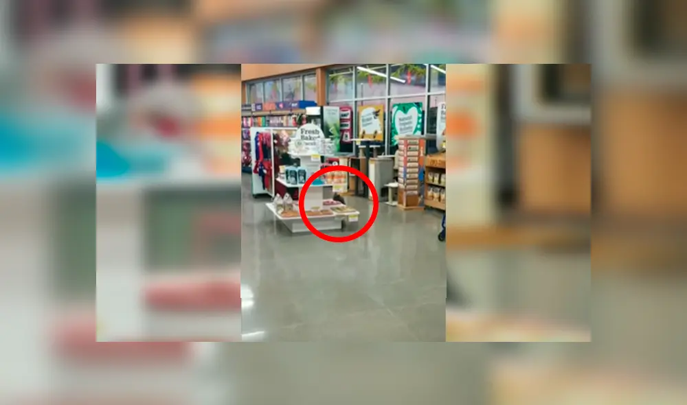 En YouTube, un travieso gato fue captado en el preciso momento que ‘robó’ las galletas de una tienda. En YouTube, un travieso gato fue captado en el preciso momento que ‘robó’ las galletas de una tienda.