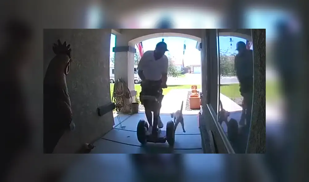 En YouTube, unas cámaras de seguridad grabaron cuando repartidor iba dejar un paquete en una casa y fue sorprendido por un gato que saltó encima de él. En YouTube, unas cámaras de seguridad grabaron cuando repartidor iba dejar un paquete en una casa y fue sorprendido por un gato que saltó encima de él.