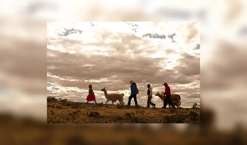 Impulsan turismo rural comunitario en Puno                  