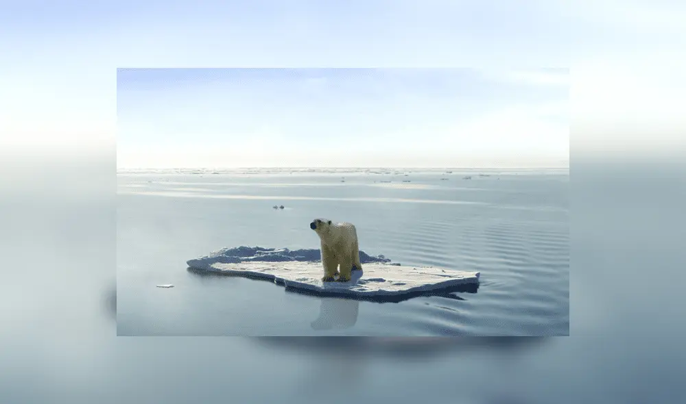 ¿Adiós al Ártico? El primer verano sin hielo marino se daría en el 2030