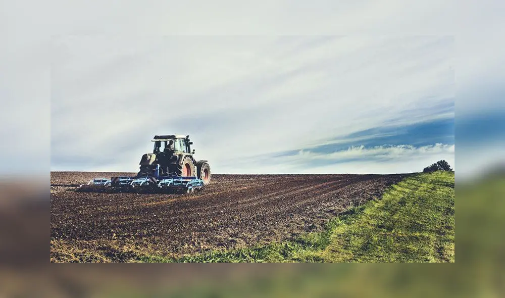 Sostenible. Sostenible.