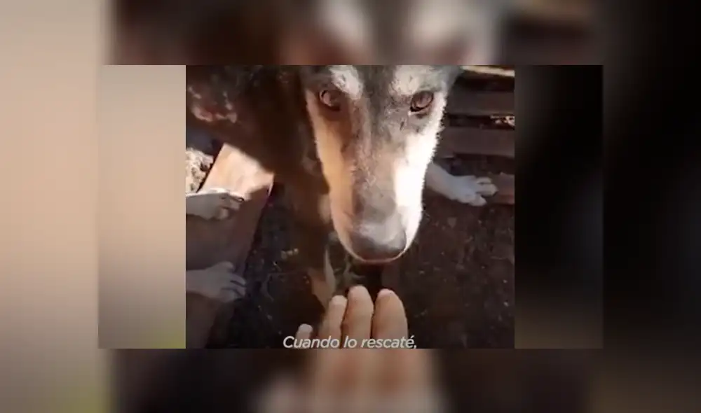 Desliza hacia la izquierda para ver las conmovedoras imágenes del viral de Facebook. Desliza hacia la izquierda para ver las conmovedoras imágenes del viral de Facebook.